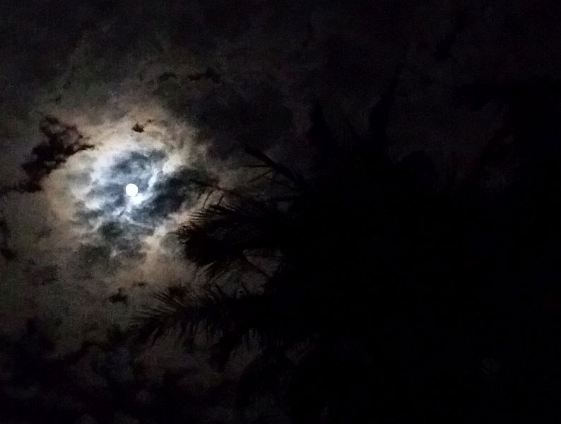 Moonlight at 1 AM