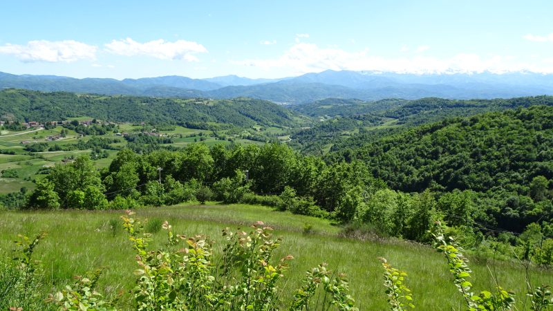 piemontesische Hügellandschaft
